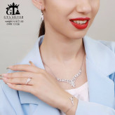 سرویس میکرو زنجیری